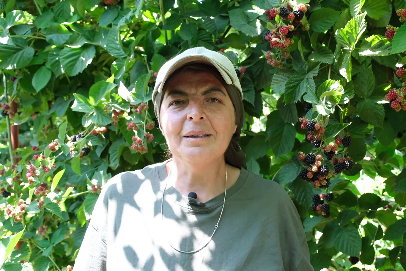 Emine Sibel Dulkadir