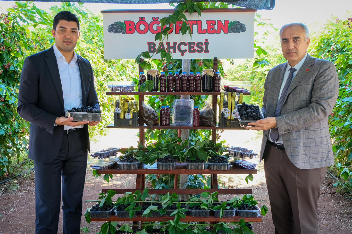 Eşiyle kurduğu böğürtlen bahçesinde siparişlere yetişemiyor