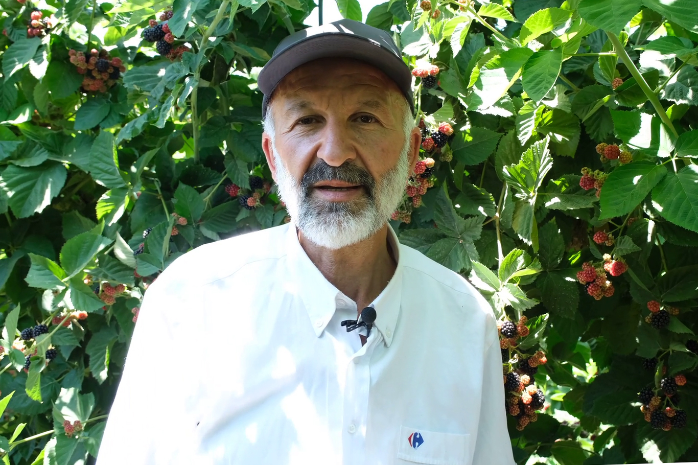 Hüseyin Dulkadir