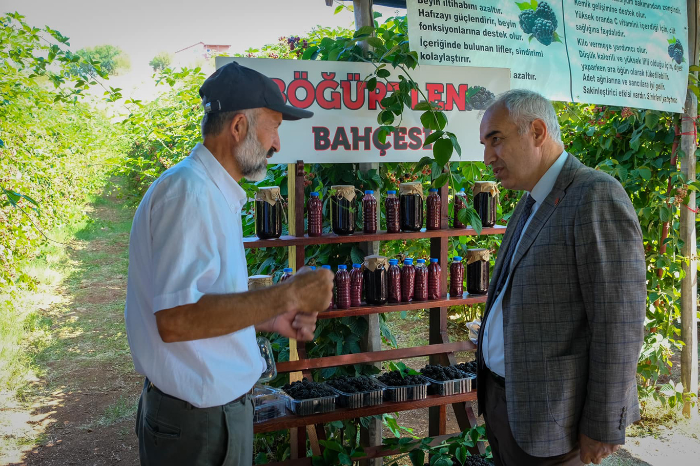 Eşiyle kurduğu böğürtlen bahçesinde siparişlere yetişemiyor