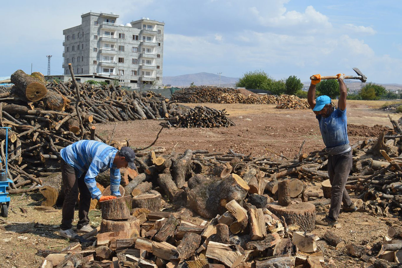 Isınma maliyeti yükseliyor: Odun fiyatlarına yüzde 57 zam