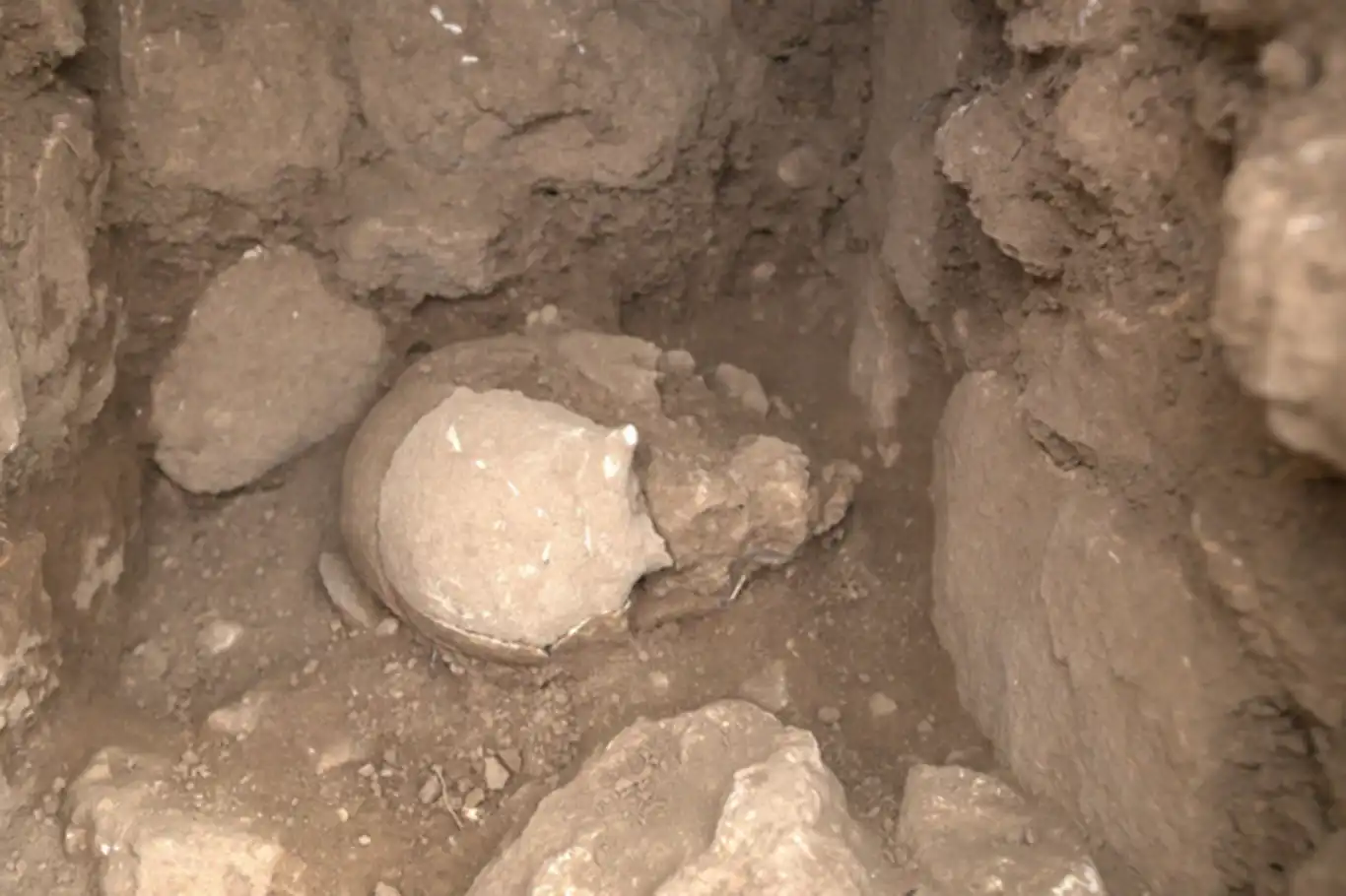 Şanlıurfa'da, Neolitik Dönem'e ait insan kafatası bulundu Şanlıurfa'da, Neolitik Dönem'e ait insan kafatası bulundu