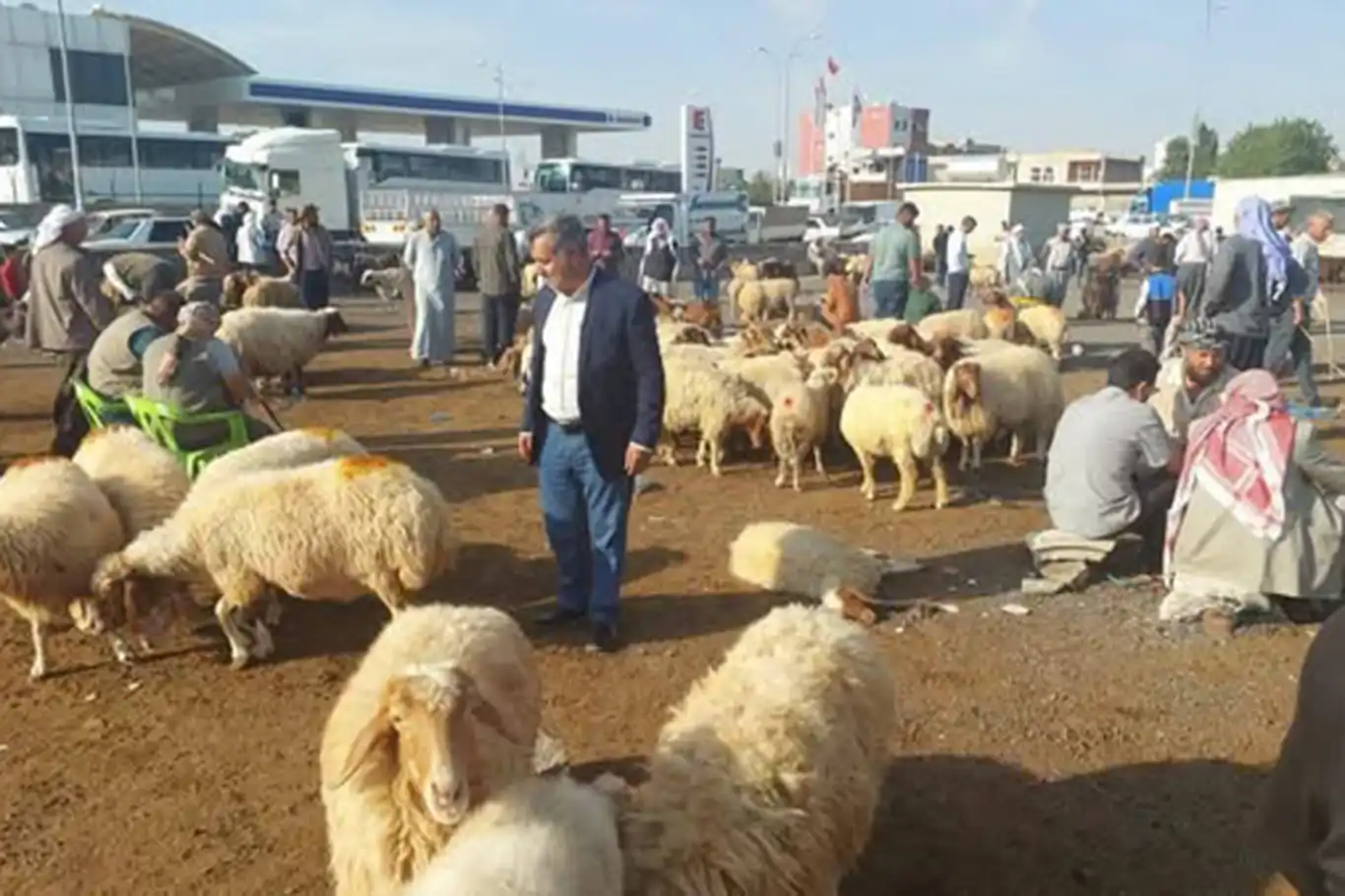 Şanlıurfa’da "şap" tedbirleri genişletildi Şanlıurfa’da "şap" tedbirleri genişletildi