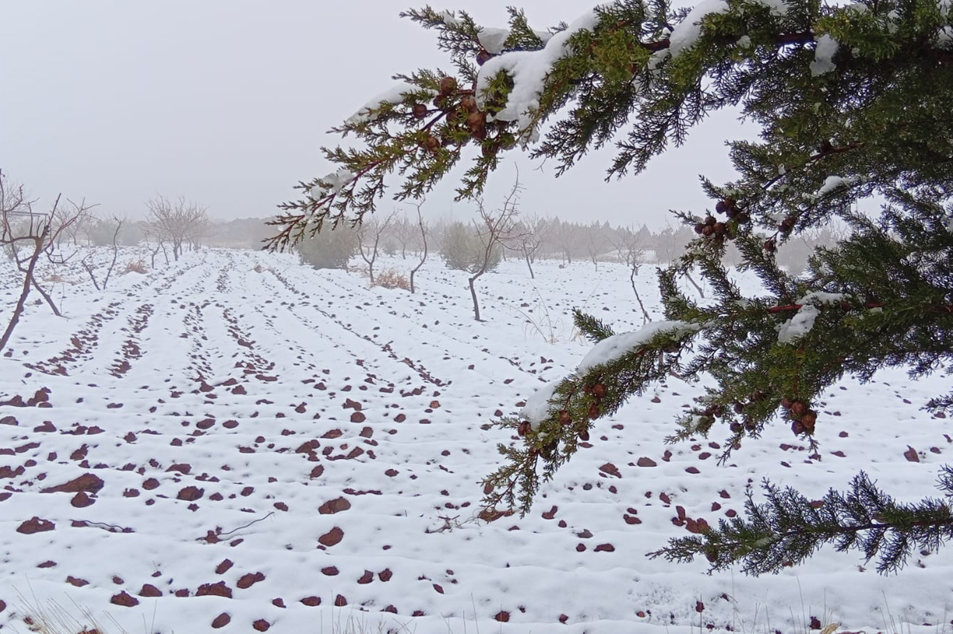 Şanlıurfa'da kar yağışı etkisini sürdürüyor