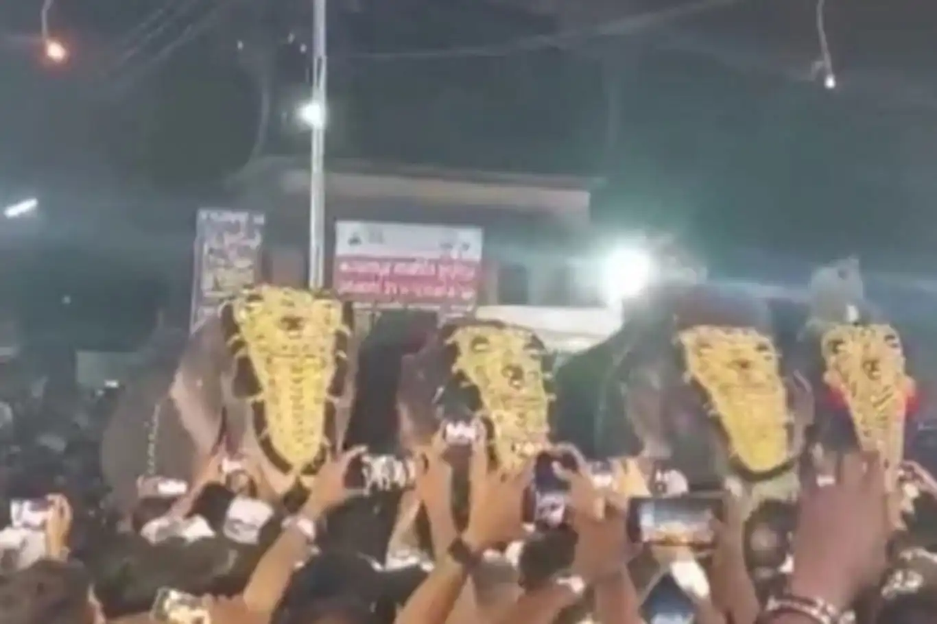 Hindistan'daki festivalde fil saldırısı: 17 yaralı Hindistan'daki festivalde fil saldırısı: 17 yaralı
