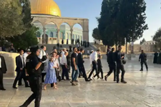 مستوطنون يقتحمون المسجد الأقصى في اليوم السابع من عيد "العرش" اليهودي