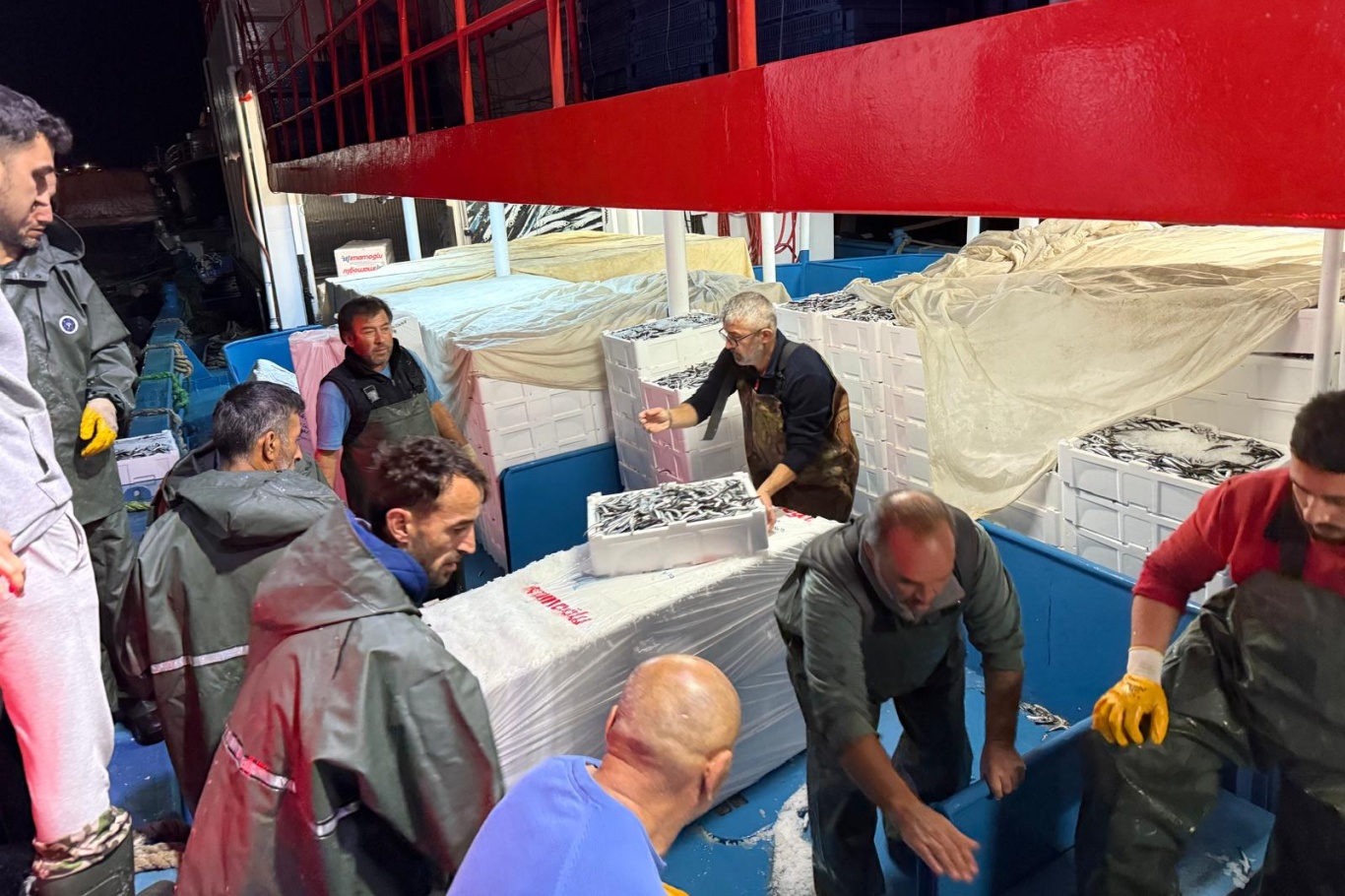 Hamsi avcılığında kota denetimleri devam ediyor Hamsi avcılığında kota denetimleri devam ediyor
