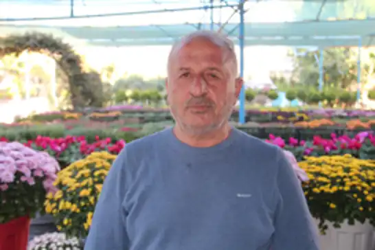 Bitki sezonu başladı: Kasımpatılar tezgâhlarda