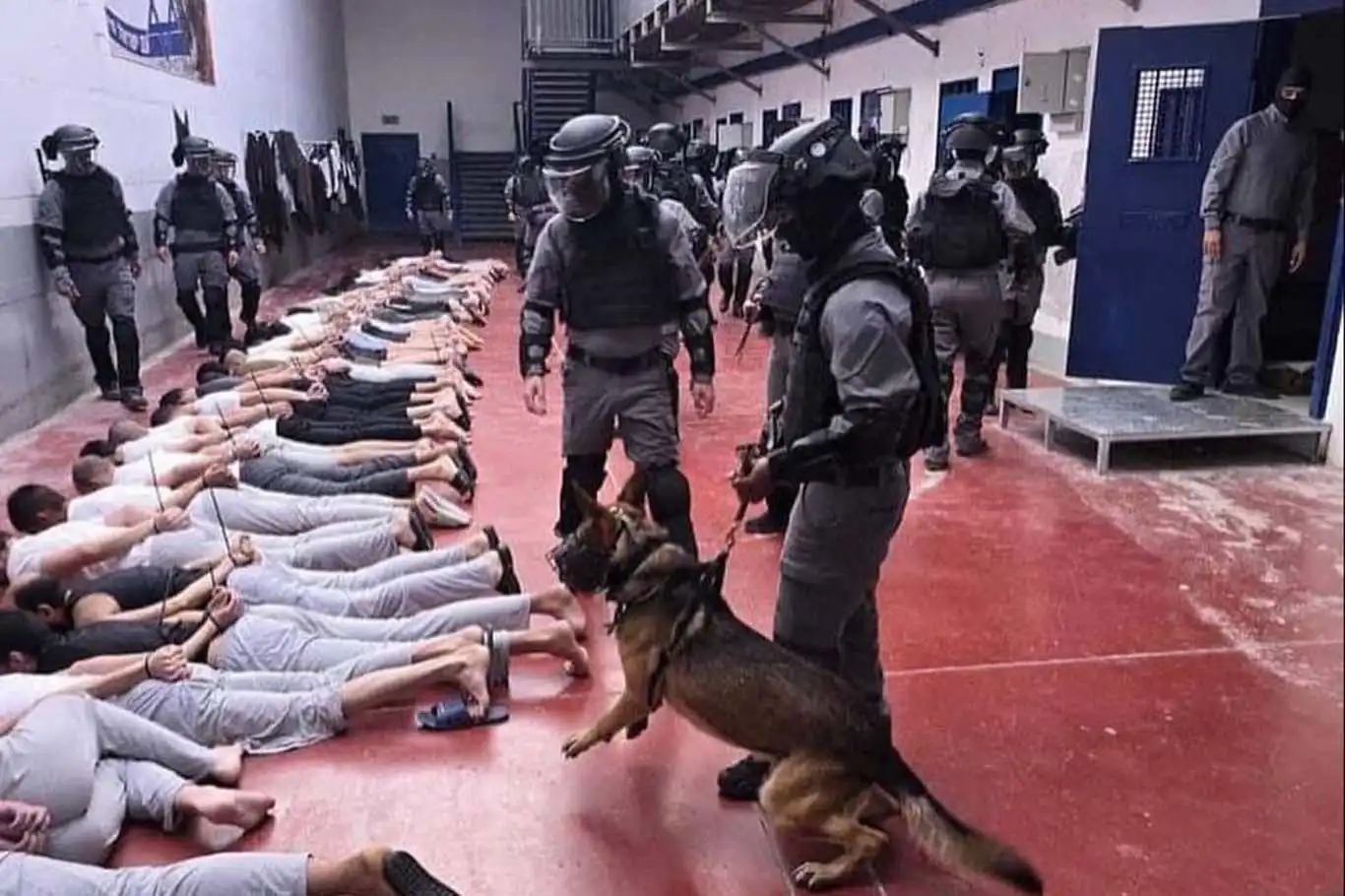 135 mutilated Palestinian bodies returned from Israel’s Sde Teiman death camp 135 mutilated Palestinian bodies returned from Israel’s Sde Teiman death camp