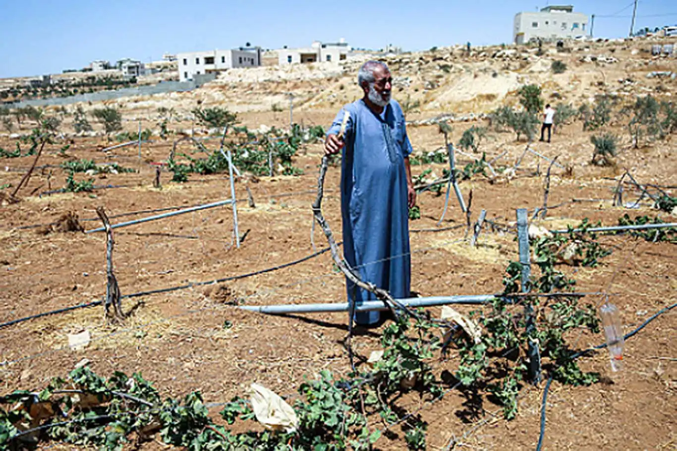 İşgalciler 400 dönümlük Filistin arazisine el koydu İşgalciler 400 dönümlük Filistin arazisine el koydu