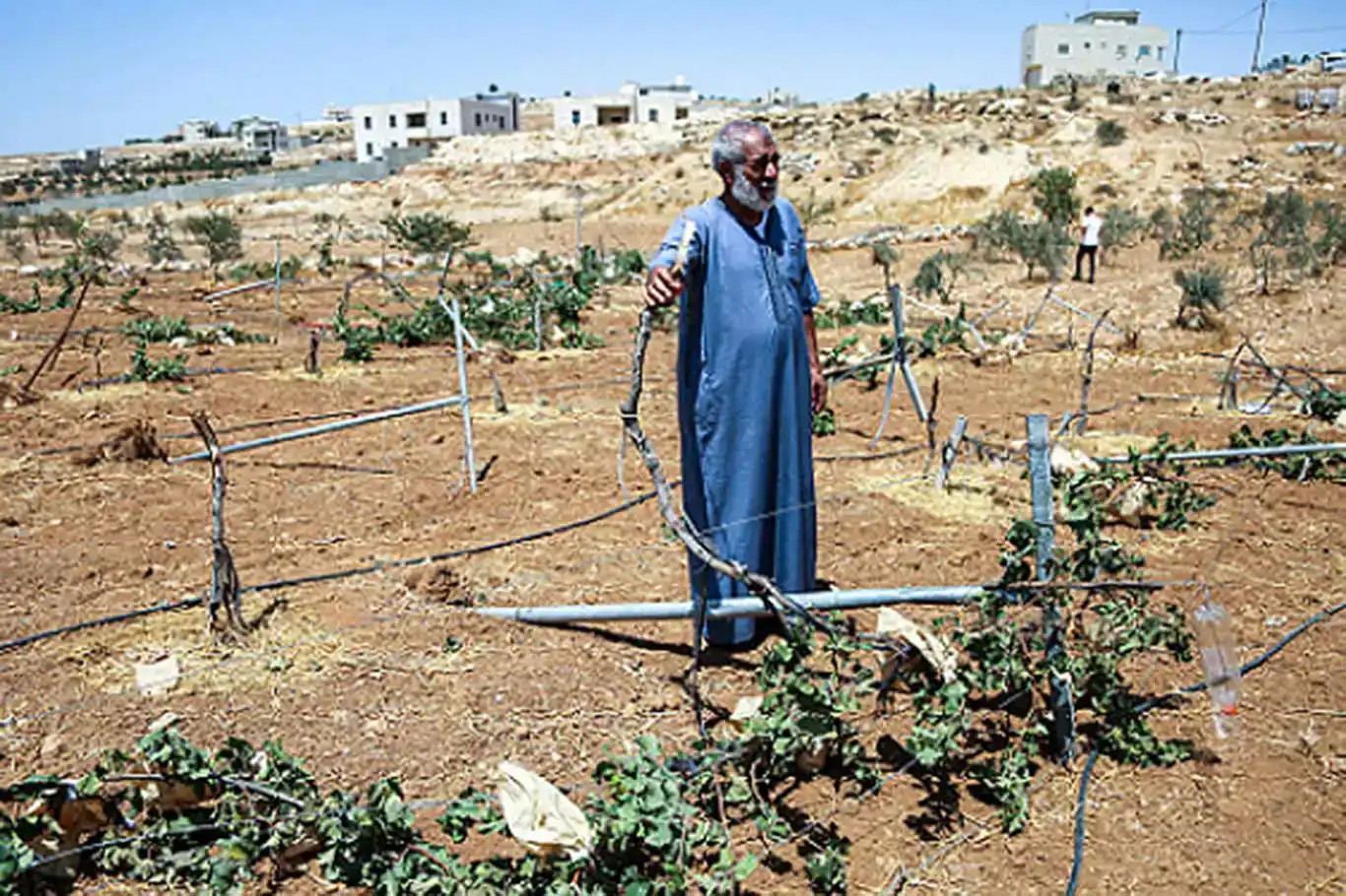 الاحتلال الصهيوني يصادر 400 دونم من أراضي الفلسطينيين في الضفة الغربية الاحتلال الصهيوني يصادر 400 دونم من أراضي الفلسطينيين في الضفة الغربية