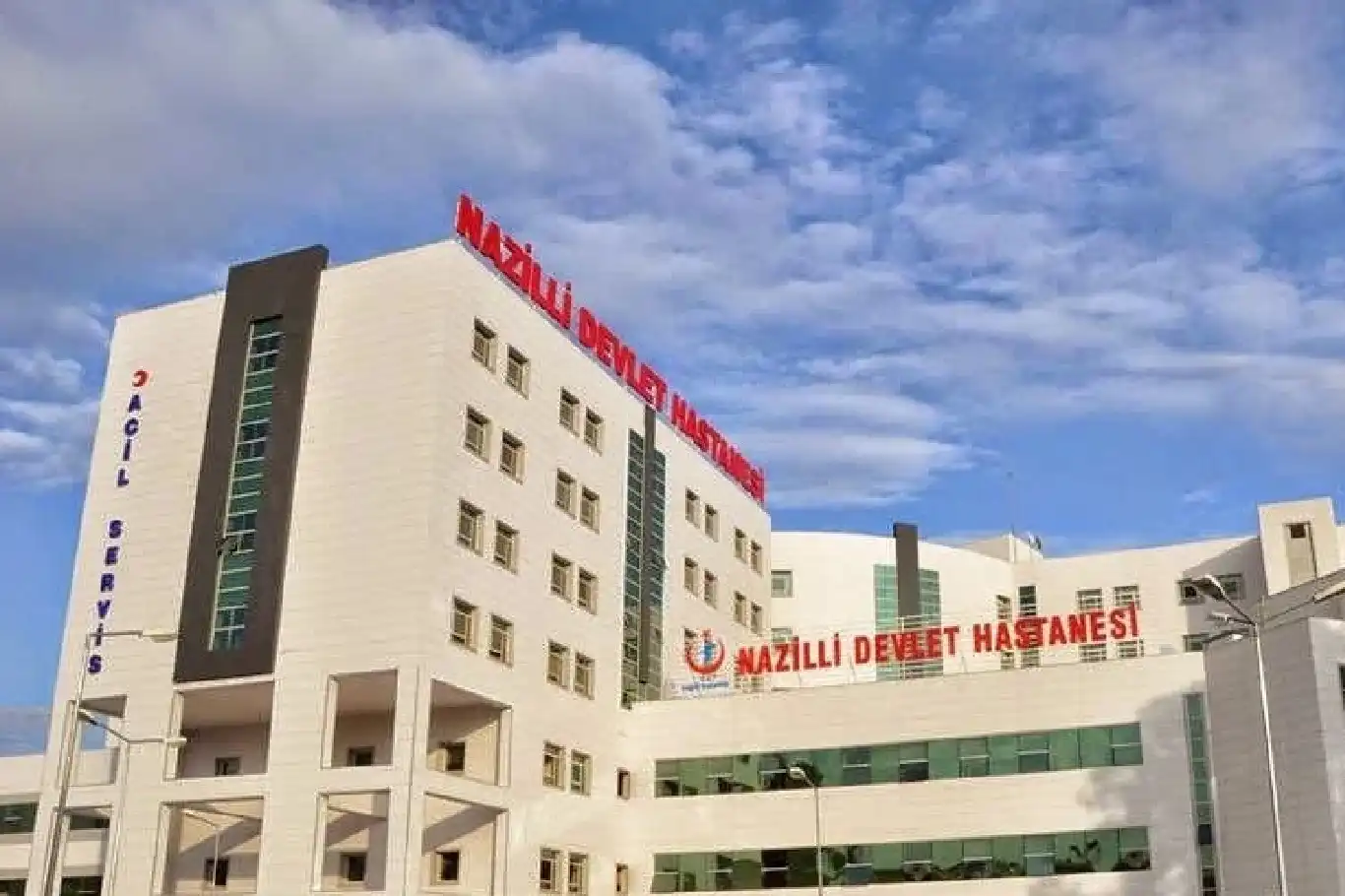 Aydın’da torununu kurtarmak isterken hayatını kaybetti Aydın’da torununu kurtarmak isterken hayatını kaybetti
