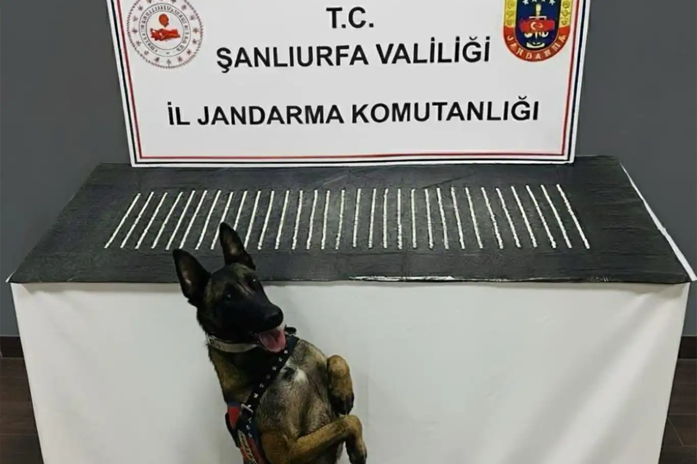 Şanlıurfa’da uyuşturucu operasyonu: 3 gözaltı Şanlıurfa’da uyuşturucu operasyonu: 3 gözaltı