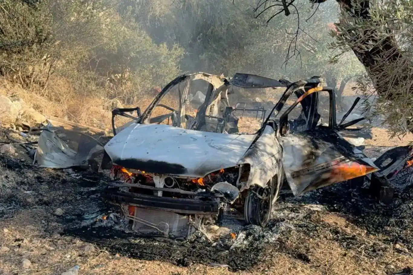 Hamas condemns Israeli assassination of three youths in Jenin Hamas condemns Israeli assassination of three youths in Jenin