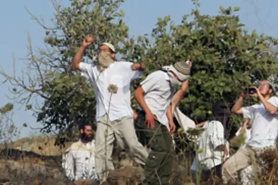 Batı Şeria'da siyonist çetelerin saldırıları her geçen gün artarak devam ediyor