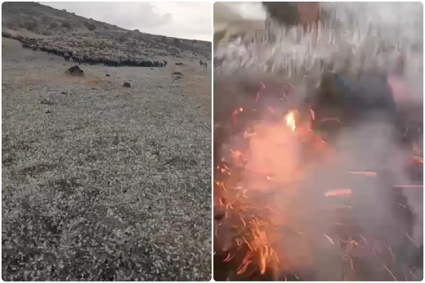 Elazığ’da çobanın yanına yıldırım düştü, o an cep telefonuna yansıdı Elazığ’da çobanın yanına yıldırım düştü, o an cep telefonuna yansıdı