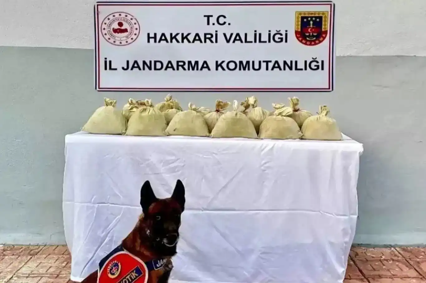 Li Colemêrgê Operasyona tiryakê: 15 kîlo esrara toz hat desteserkirin Li Colemêrgê Operasyona tiryakê: 15 kîlo esrara toz hat desteserkirin