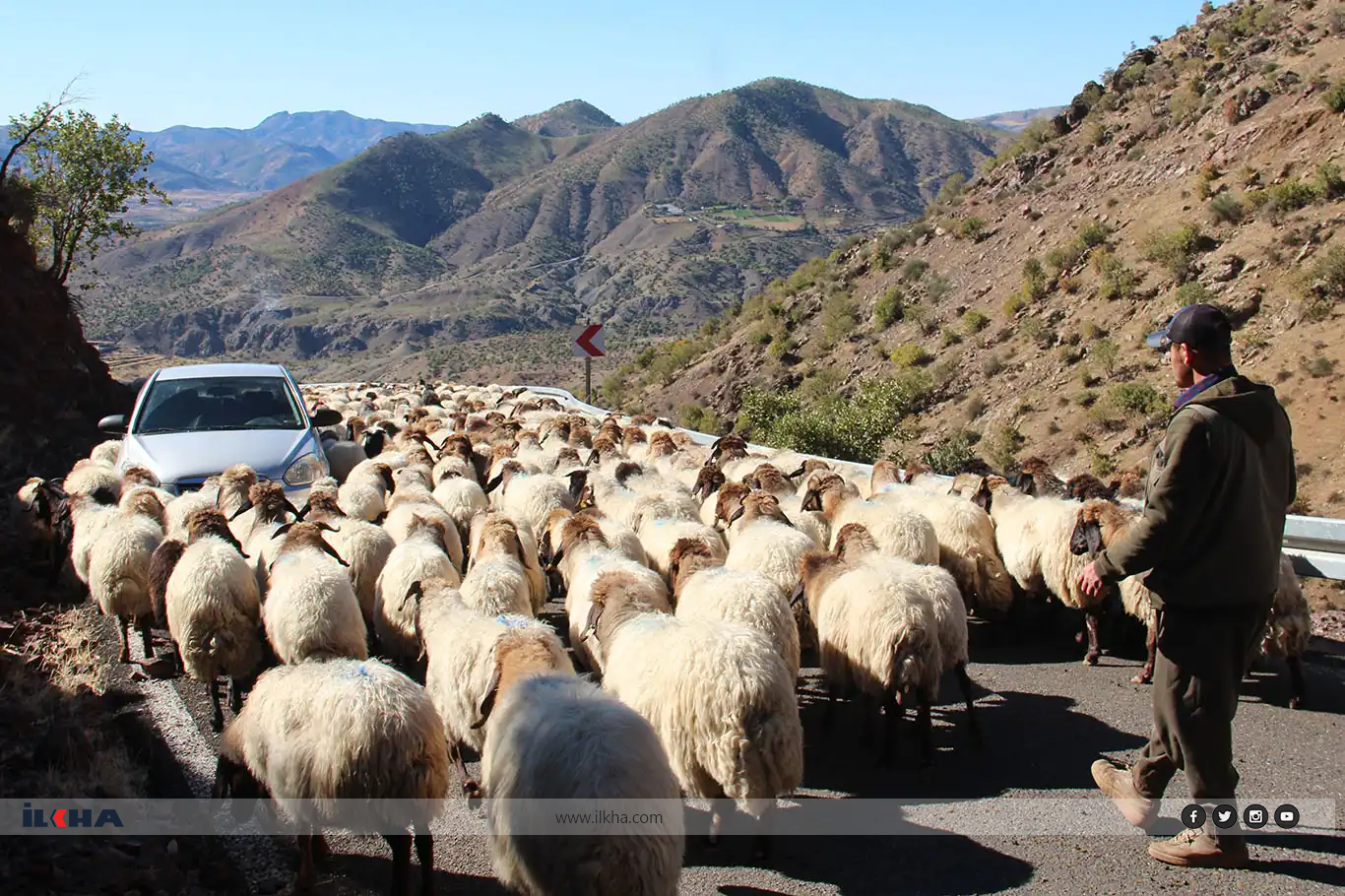 Koçeran dest bi koçberîyê kirin Koçeran dest bi koçberîyê kirin