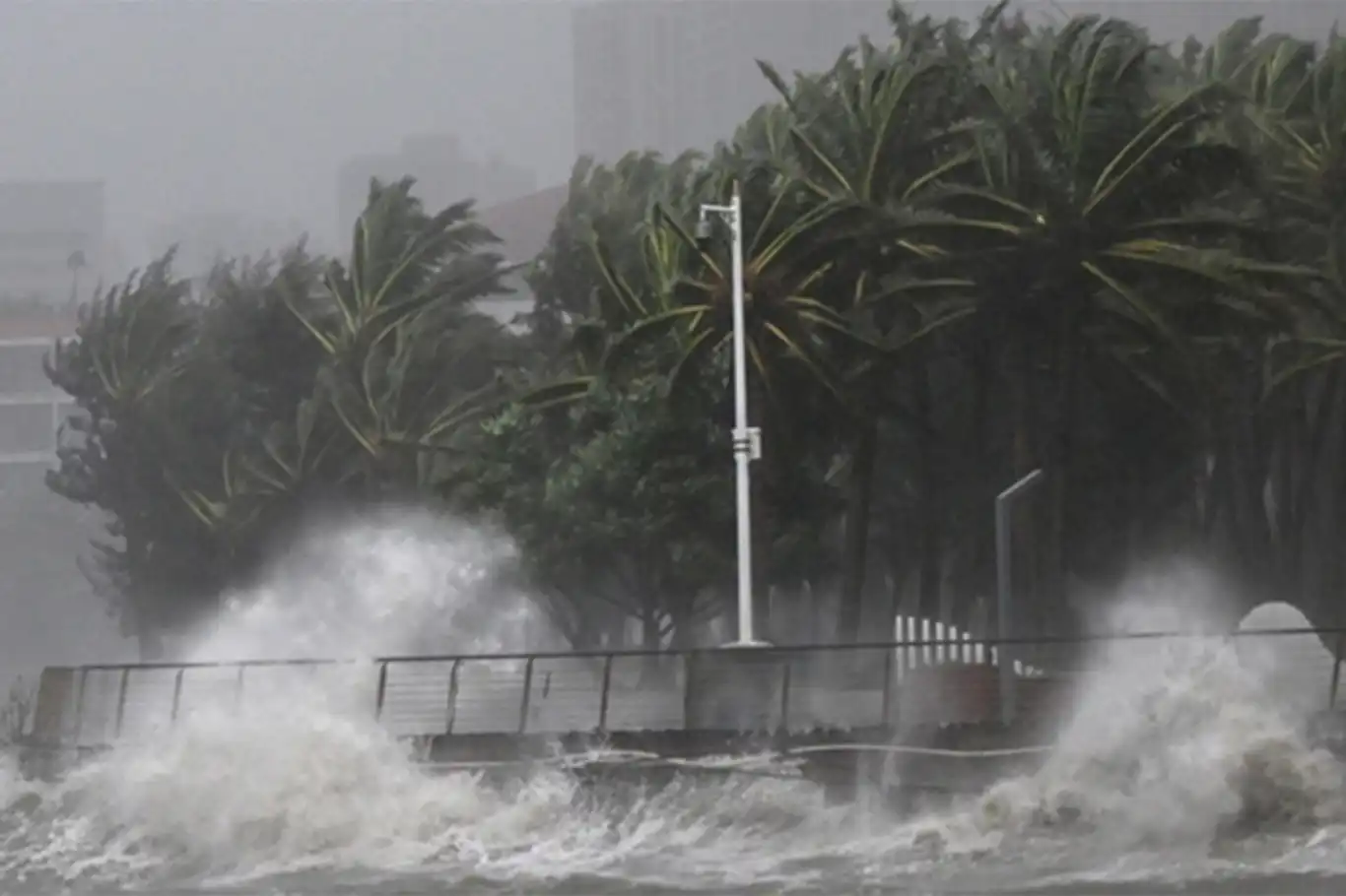 Typhoon Matmo triggers mass evacuations across south China