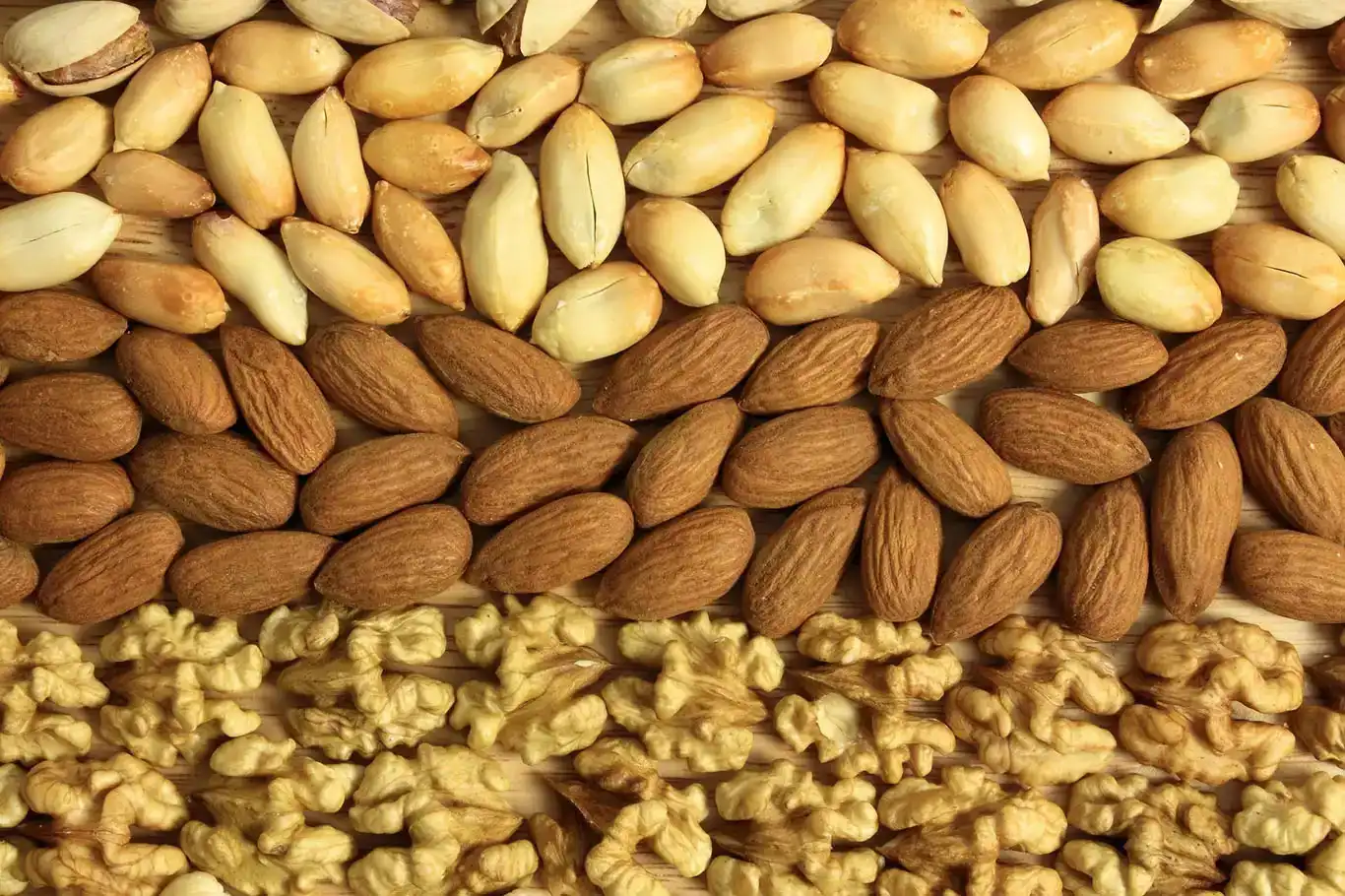 Türkiye’s dried fruit exports reach $1.22 billion in first nine months of 2025