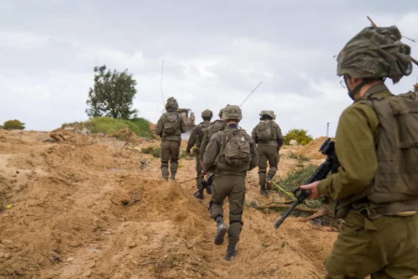 BM: israil, Gazze'de tarım alanlarının yüzde 87'sini yok etti BM: israil, Gazze'de tarım alanlarının yüzde 87'sini yok etti