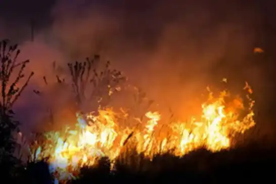 Zeviyên Nehil ên li Colemêrgê agir girt