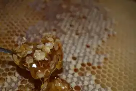 Bu yıl bal verimi düştü, kalite arttı