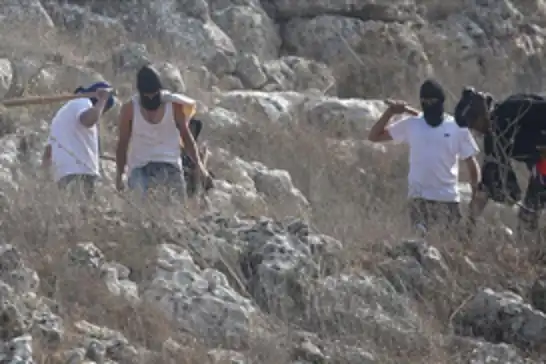 Yahudi çeteler Kudüs ve El-Ağvar'da Filistinlilere saldırdı