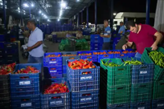 AKİB: Irak, yaş meyve sebze ihracatında lokomotif pazar oldu