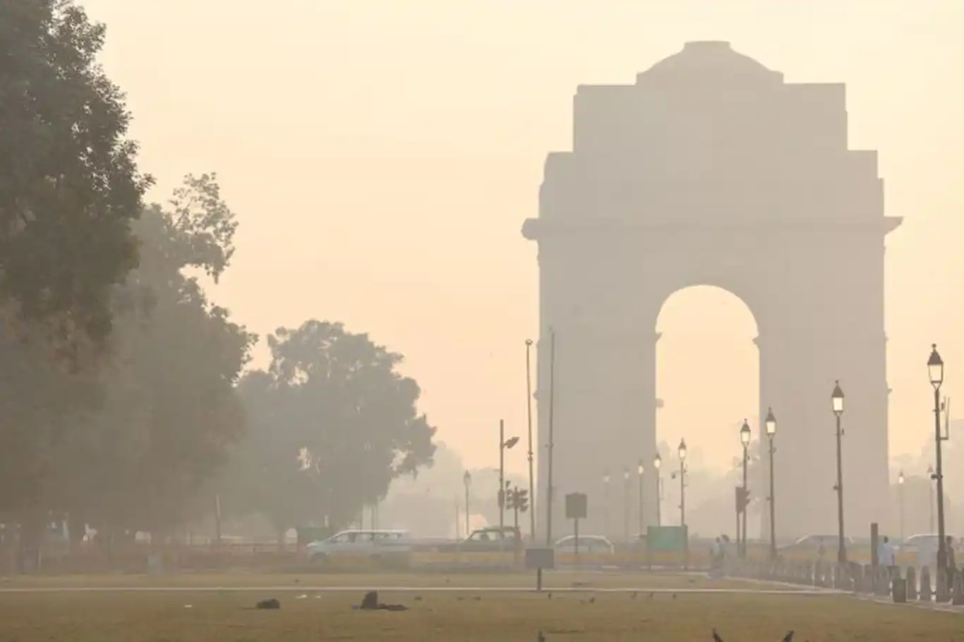 India: Doctors warn of health crisis as Delhi’s toxic air reaches dangerous levels