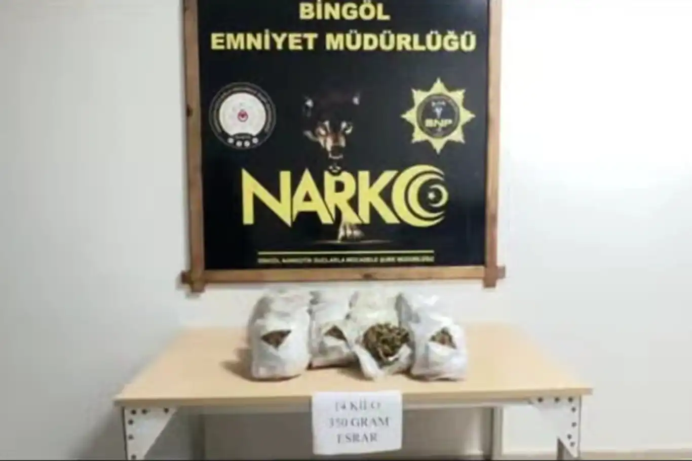 Bingöl’de 14 kilo 350 gram skunk ele geçirildi