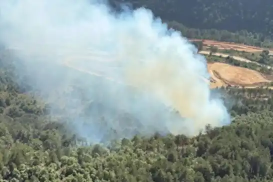 Muğla’da orman yangını