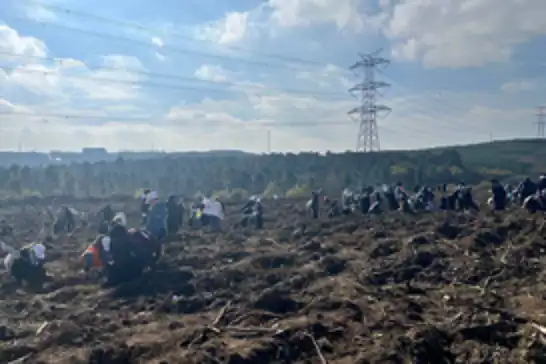 Gazze için 10 bin fidan dikildi