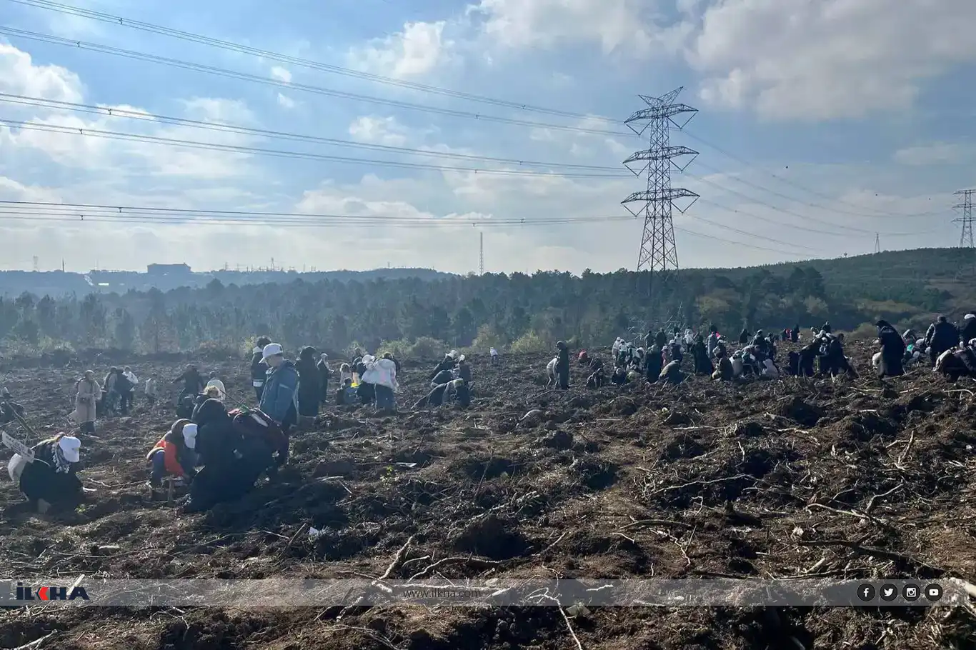 غرس 10 آلاف شتلة في إسطنبول تخليدًا لأطفال غزة الشهداء