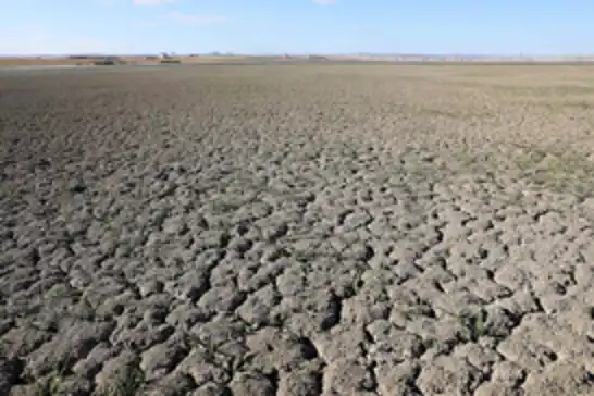 Ortadoğu, son yılların en kurak dönemlerinden birini yaşıyor