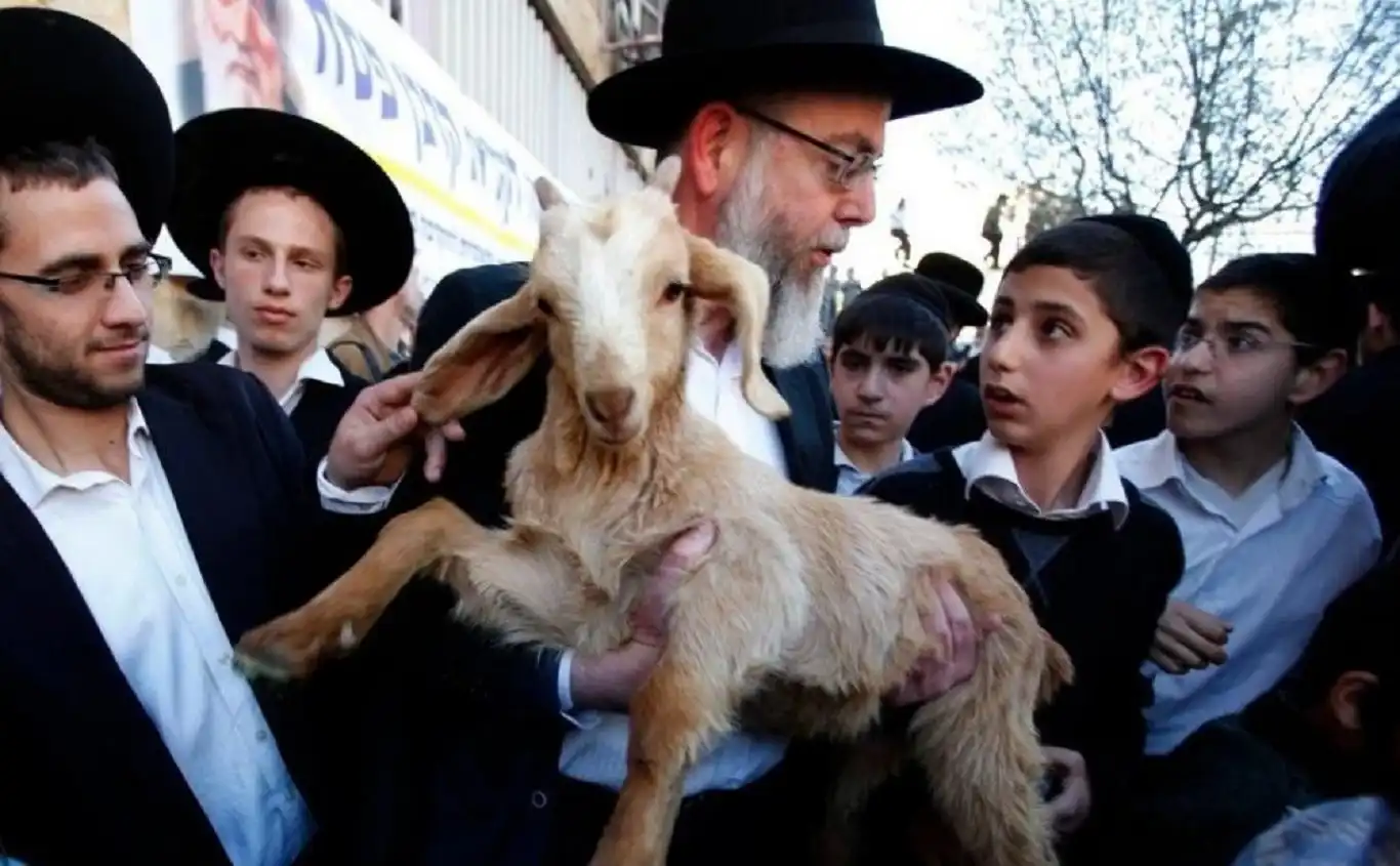 مستوطنون يحاولون إدخال قرابين إلى الأقصى وحراس المسجد يتصدّون