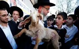 مستوطنون يحاولون إدخال قرابين إلى الأقصى وحراس المسجد يتصدّون