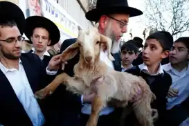 Provokasyoneke nû ji Cihûyên sîyonîst: Hewl dan qurbanê bînin nav Mizgefta Eqsayê