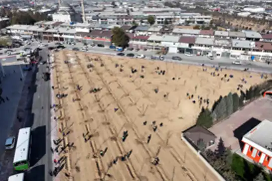 Konya'da 10 Bin 400 metrekarelik alana fidan dikildi