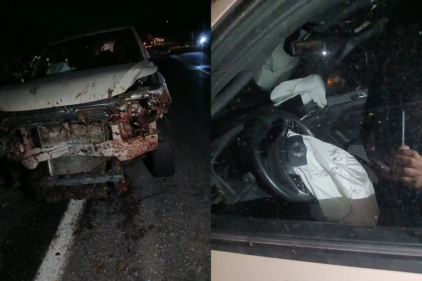 Araç koyun sürüsüne daldı 30 hayvan telef oldu Araç koyun sürüsüne daldı 30 hayvan telef oldu