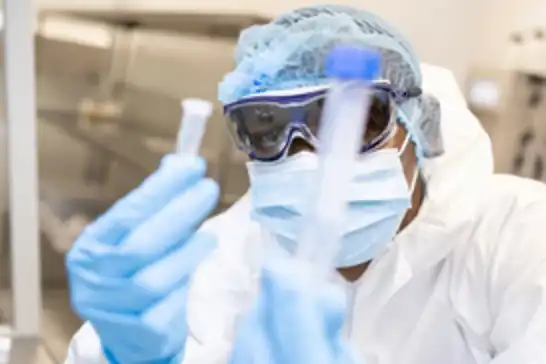 Senegal'de Rift Vadisi Ateşi salgınında ölü sayısı artıyor