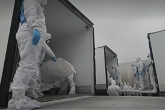 Ukraine receives remains of 1,000 fallen soldiers in latest exchange with Russia