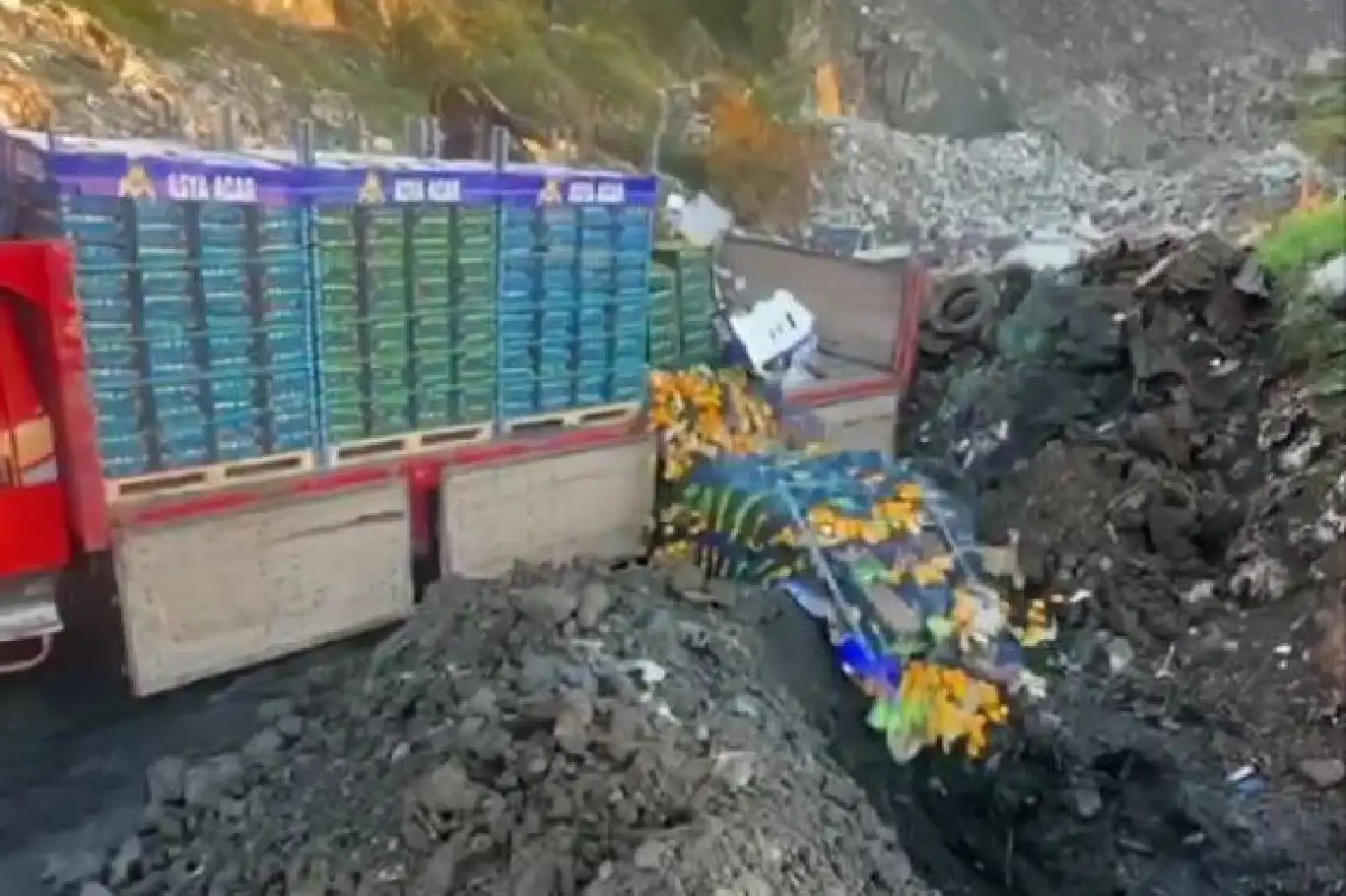 Zirai ilaç kalıntısı tespit edilen 6 bin 100 kilogram mandalina imha edildi