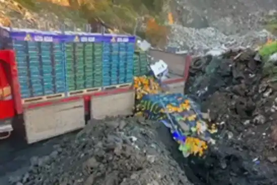 Zirai ilaç kalıntısı tespit edilen 6 bin 100 kilogram mandalina imha edildi