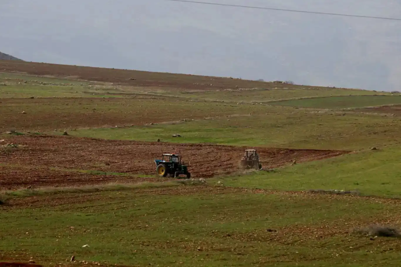 داگیرکەران دەستیان بەسەر زەوی فەلەستینەکاندا گرت