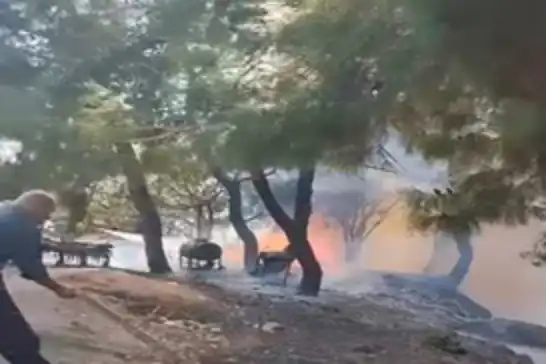 Adana Sarıçam’da orman yangını