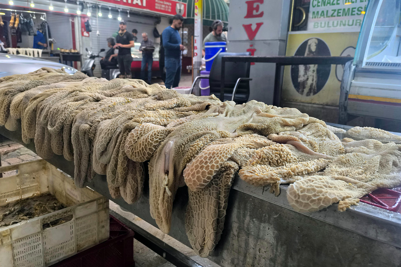 Kasap esnafı: Mazot ve yem fiyatları et fiyatlarına etki ediyor