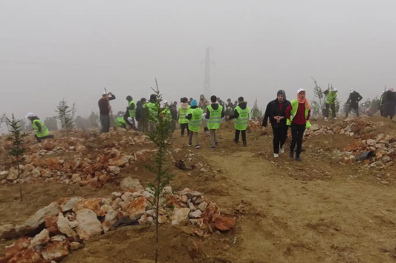 Malatya Beydağı'nda ağaçlandırma seferberliği