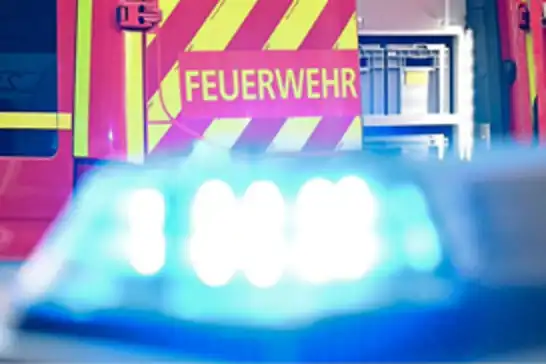 Almanya'da aynı aileden 5 kişi farklı yerlerde ölü bulundu