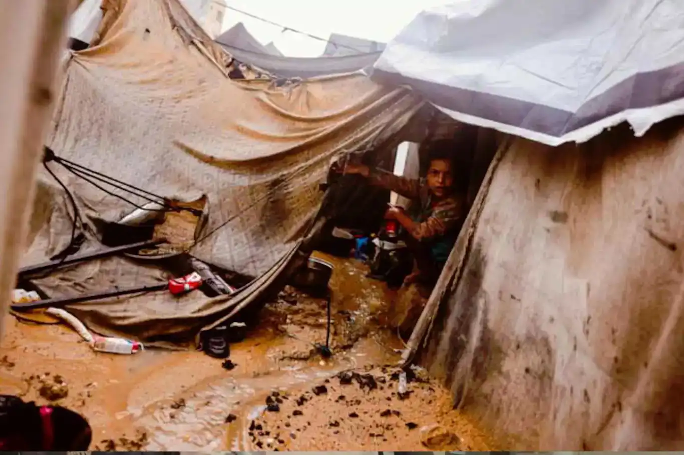 رنج و سختی در غزه ادامه دارد، مردم در شرایط وخیمی قرار دارند